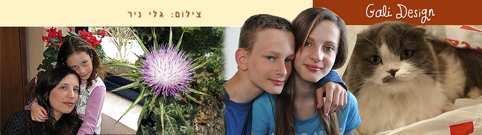 צילומים של גלי ניר - Gali Design